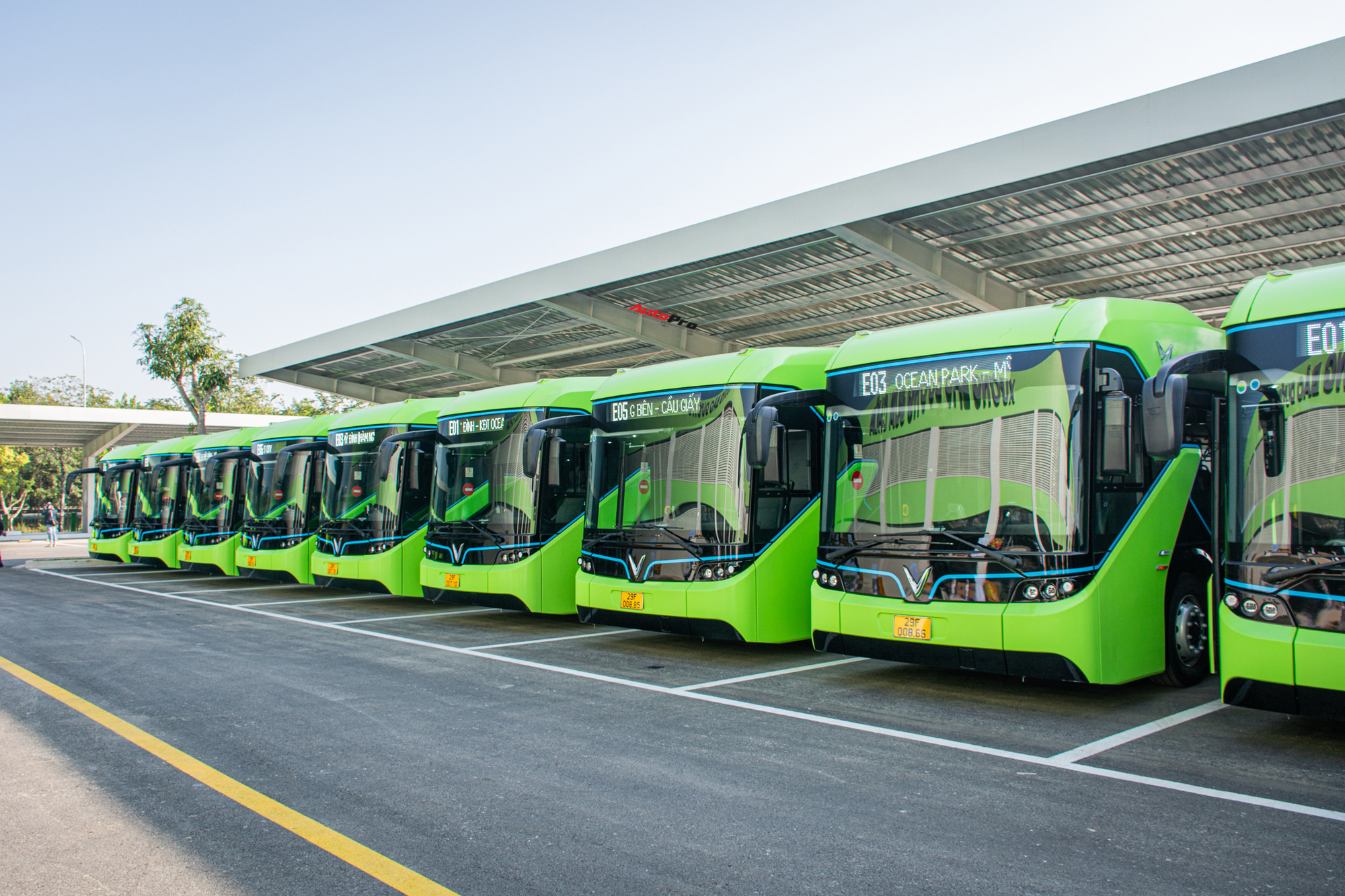 Hệ thống xe buýt điện VinBus - Vinhomes Green City