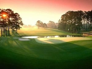 Sân golf Vinhomes Green Paradise Cần Giờ 2