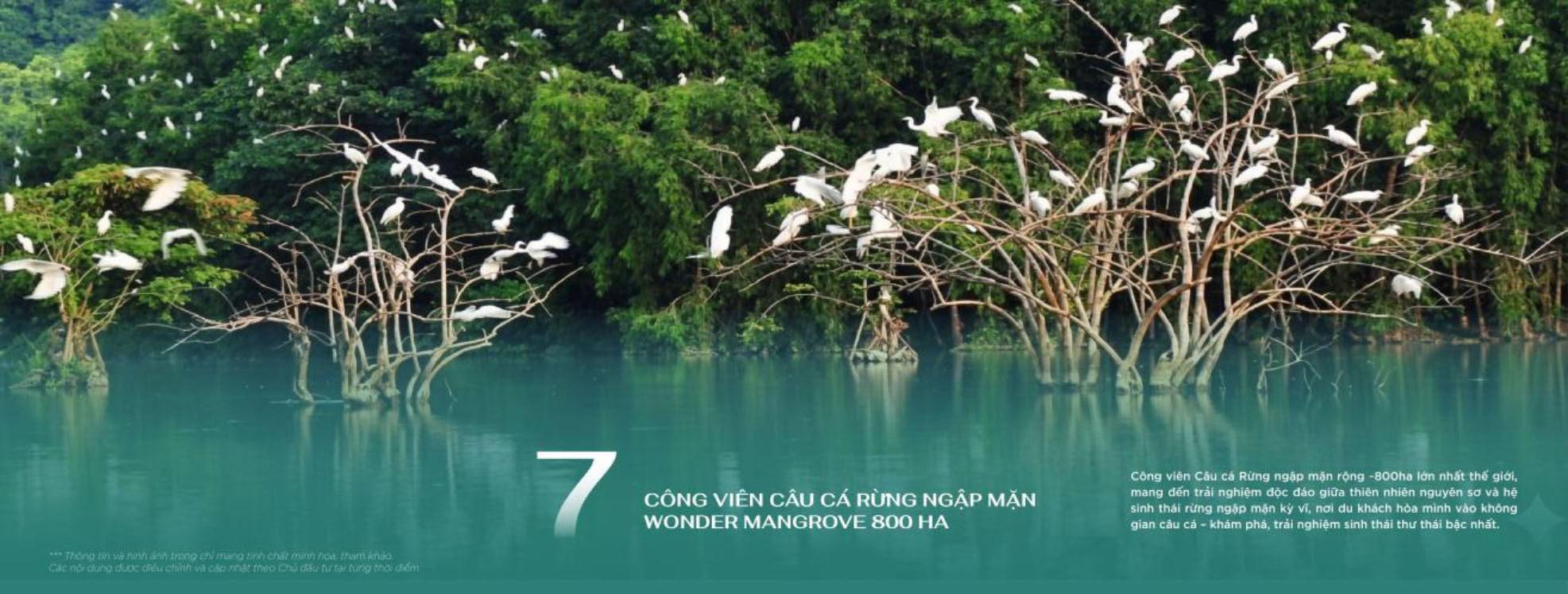 Công viên cò Wonder Mangrove 800ha - Vinhomes Global Gate Hạ Long
